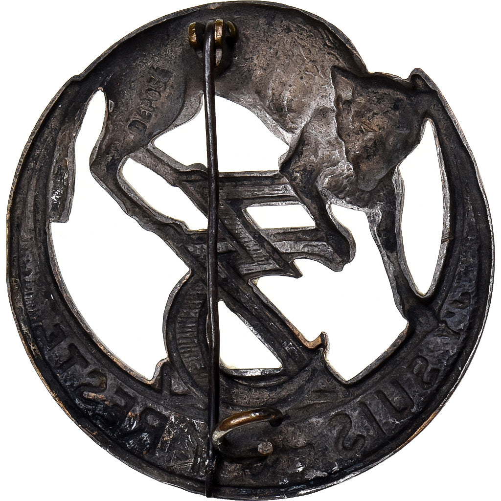 Francia, 3ème Régiment de Zouaves, Military, Broche, Ottima qualità, Métal