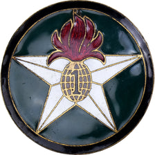 France, Légion étrangère, Military, Broche, Excellent Quality, Métal, 36