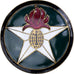 France, Légion étrangère, Military, Broche, Excellent Quality, Métal, 36
