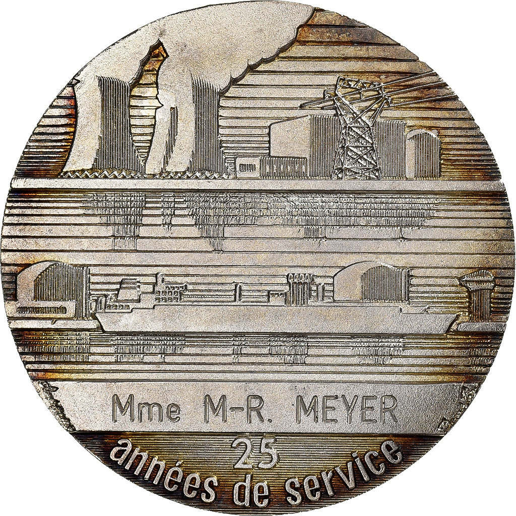 France, Médaille, Electricité-Gaz de France, Bronze argenté, SUP