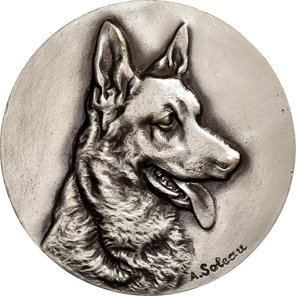 França, medalha, Société Canine du Berger Allemand, Mulhouse, Bronze