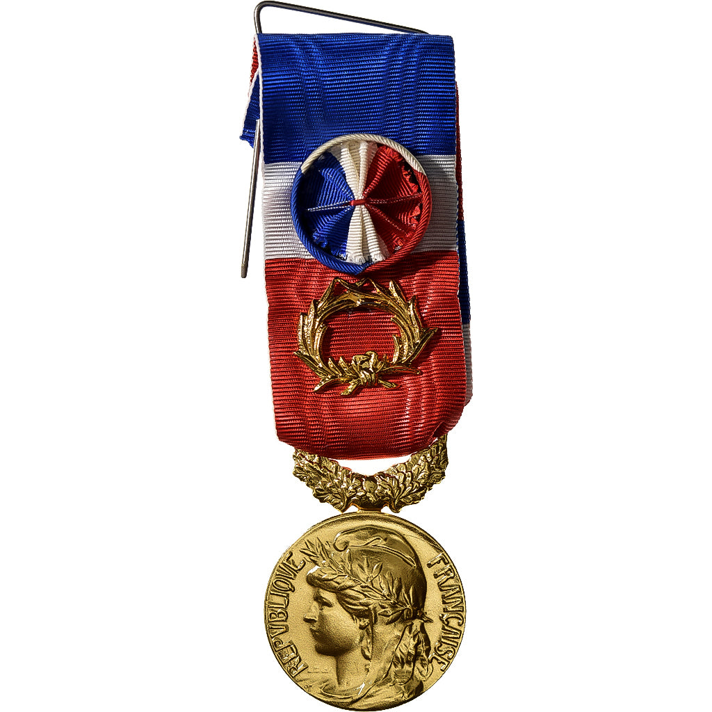 Frankrijk, Honneur-Travail, République Française, Medaille, 2002, Excellent