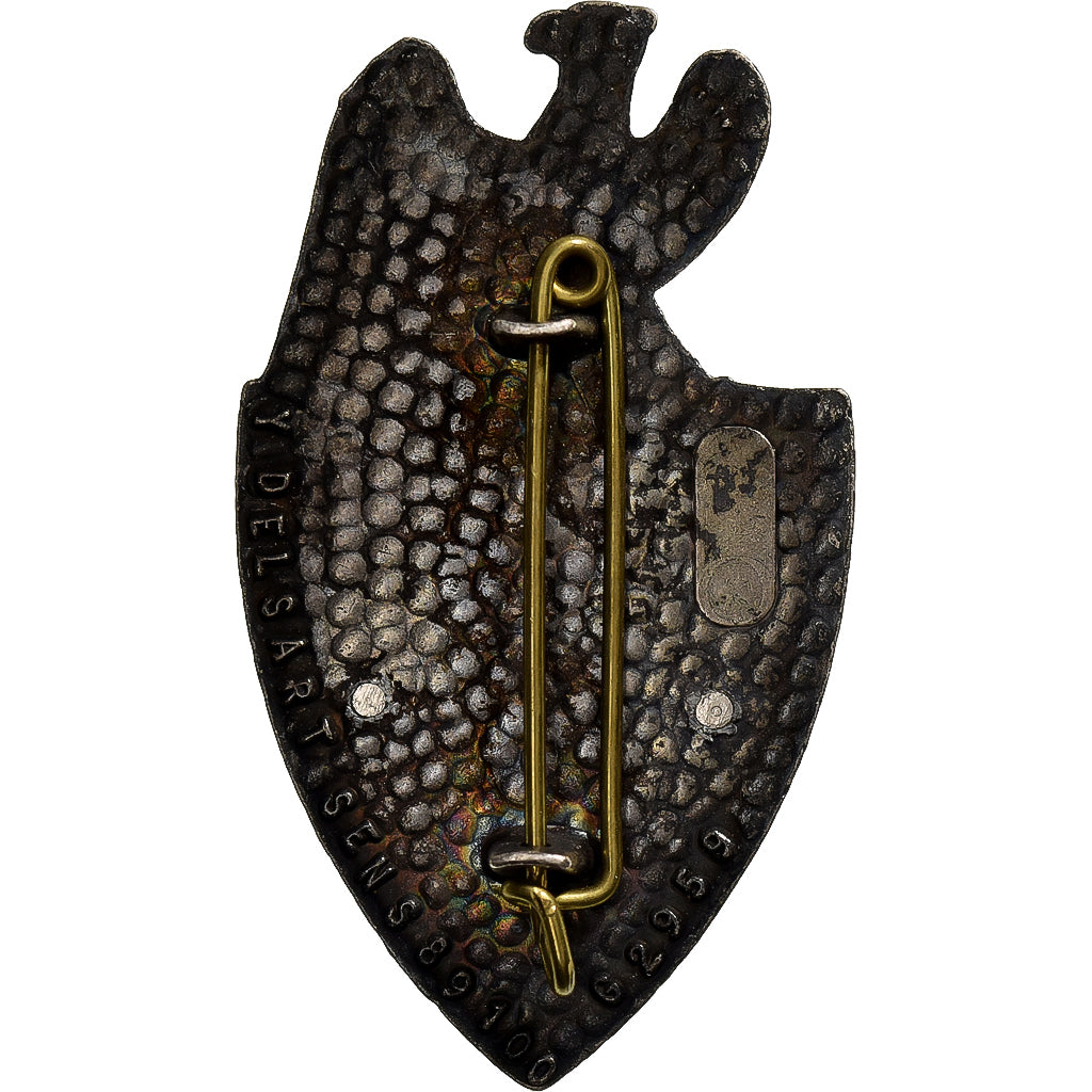 France, 20ème Régiment du Train, Military, Broche, Excellent Quality, Métal