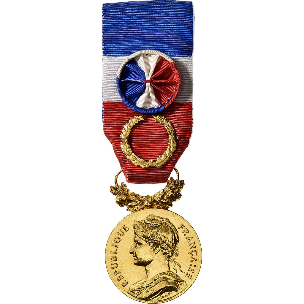Francia, Honneur-Travail, République Française, medaglia, 2013, Couronne