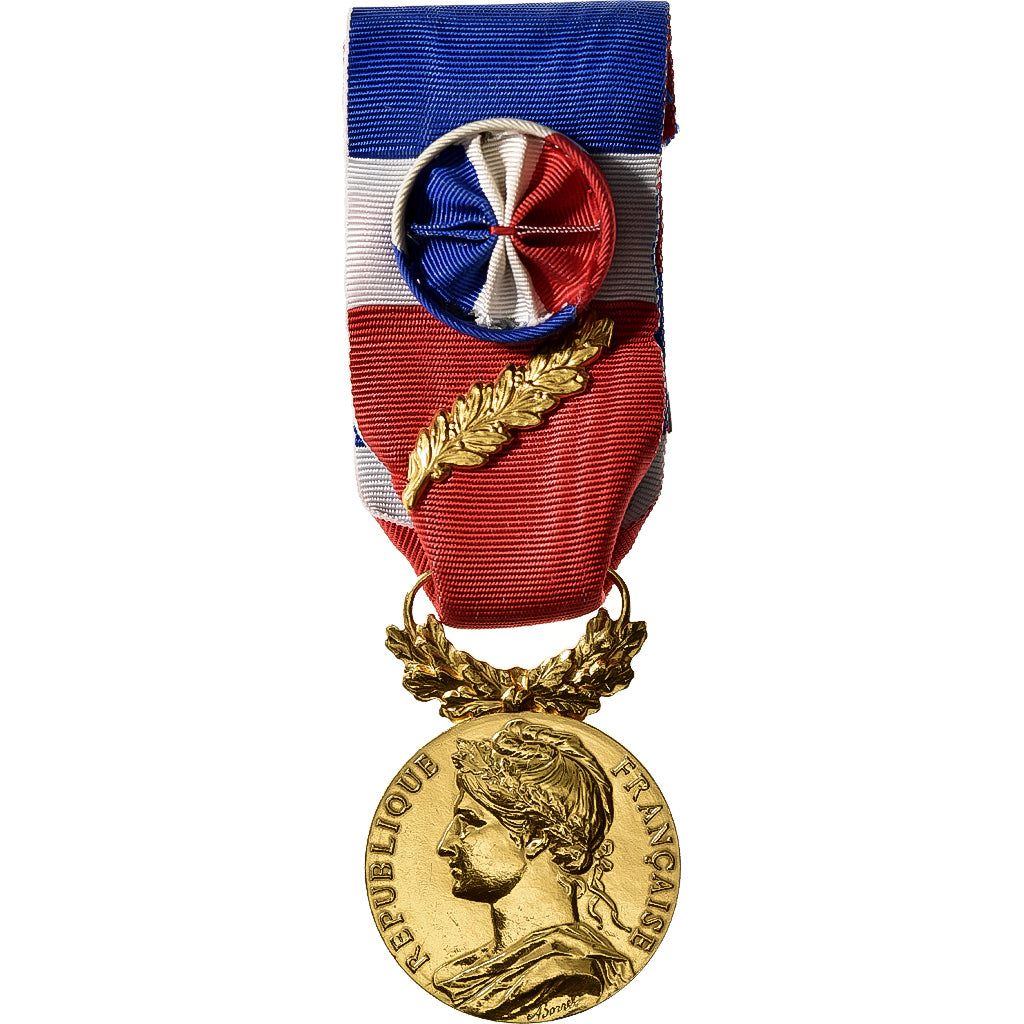 France, Honneur-Travail, République Française, Medal, 2008, Palme, Excellent