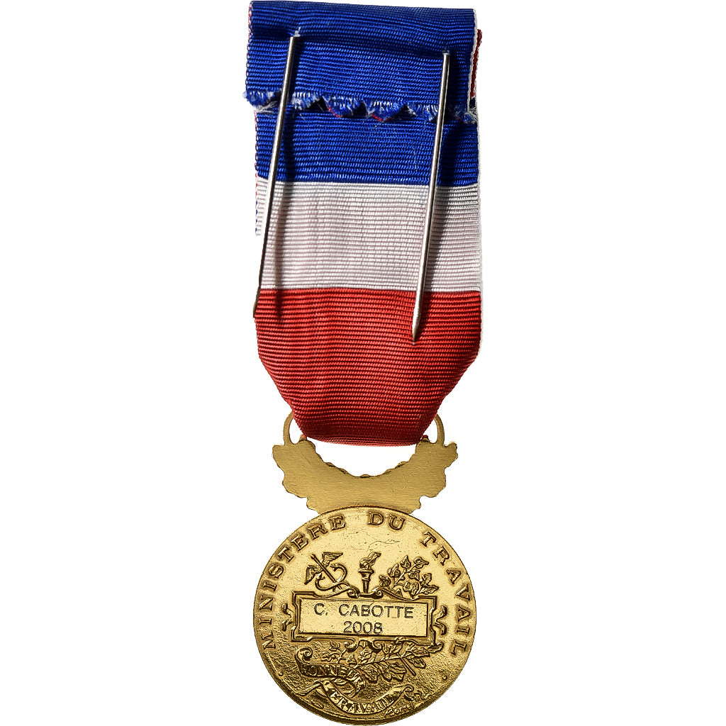 France, Honneur-Travail, République Française, Medal, 2008, Palme, Excellent