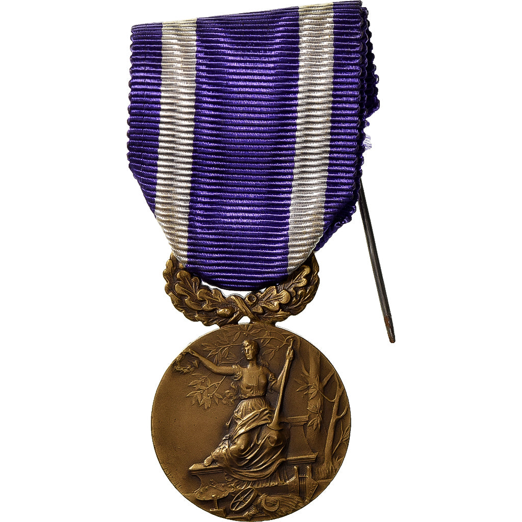 France, Union des Amicales Laïques du Nord, Medal, Excellent Quality, Bronze