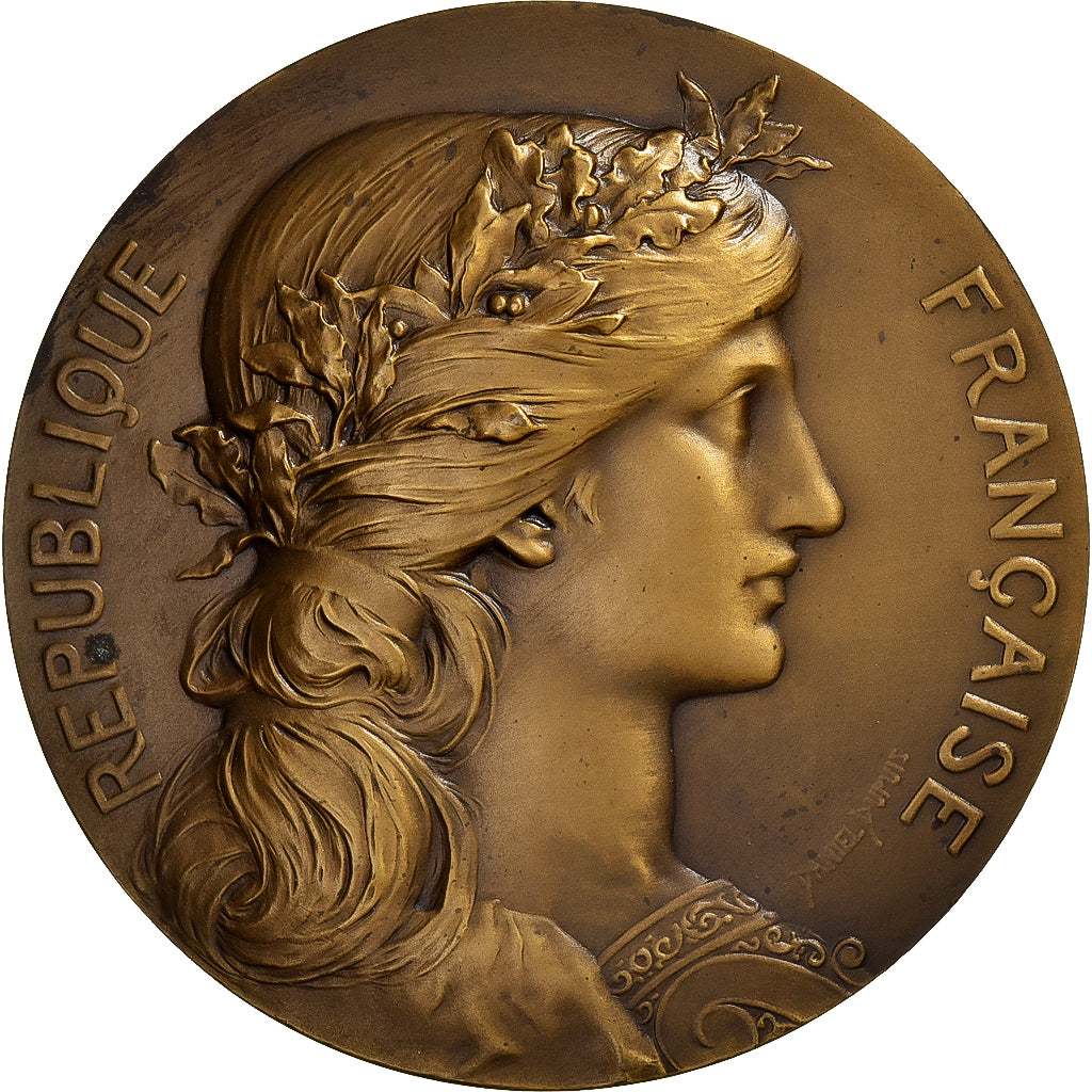 France, Medal, Office Nationale des Pupilles de la Nation, Bronze, Dupuis.D