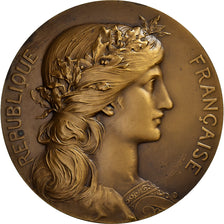 Francja, medal, Office Nationale des Pupilles de la Nation, Brązowy, Dupuis.D