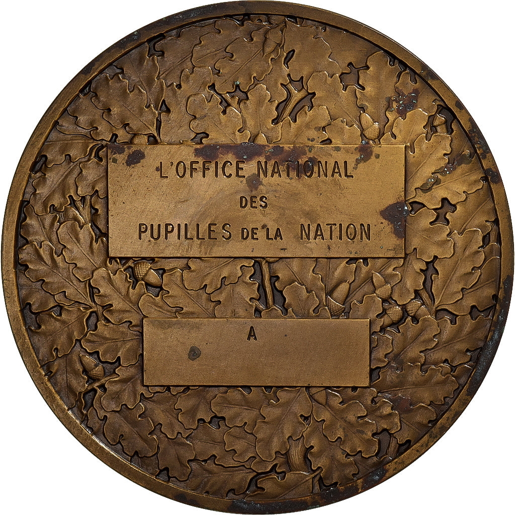 France, Medal, Office Nationale des Pupilles de la Nation, Bronze, Dupuis.D