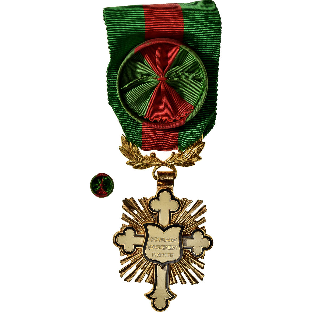 Francja, Ordre des Arts Lettres Sciences Sports, Officier, medal, Doskonała
