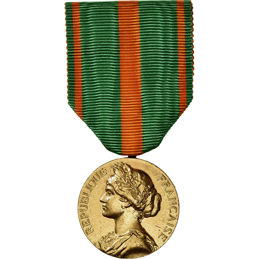 Francia, Médaille des Évadés, medalla, Sin circulación, Bronce dorado, 29