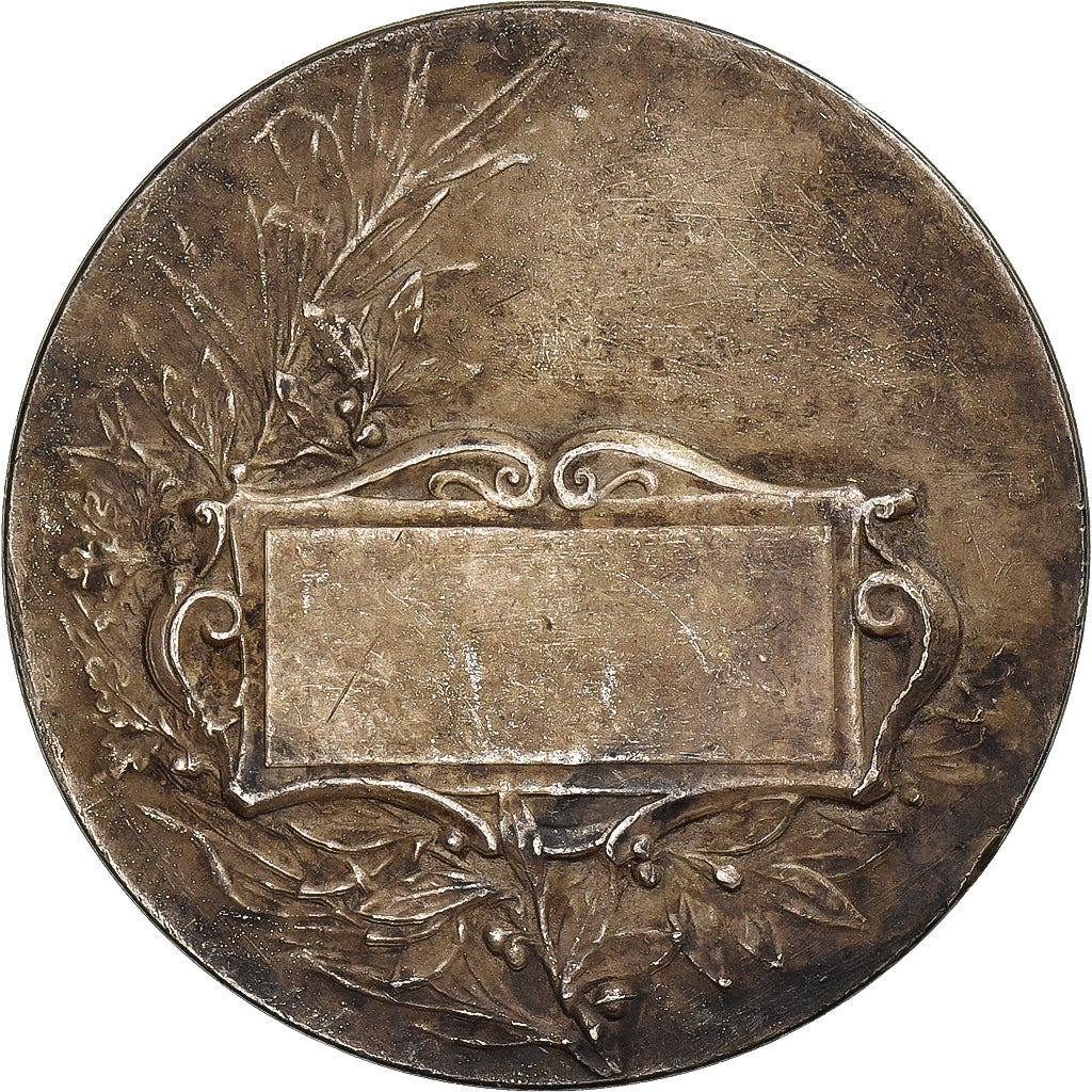 França, medalha, Sport, Natation, Bronze Prateado, Rasumny, EF(40-45)