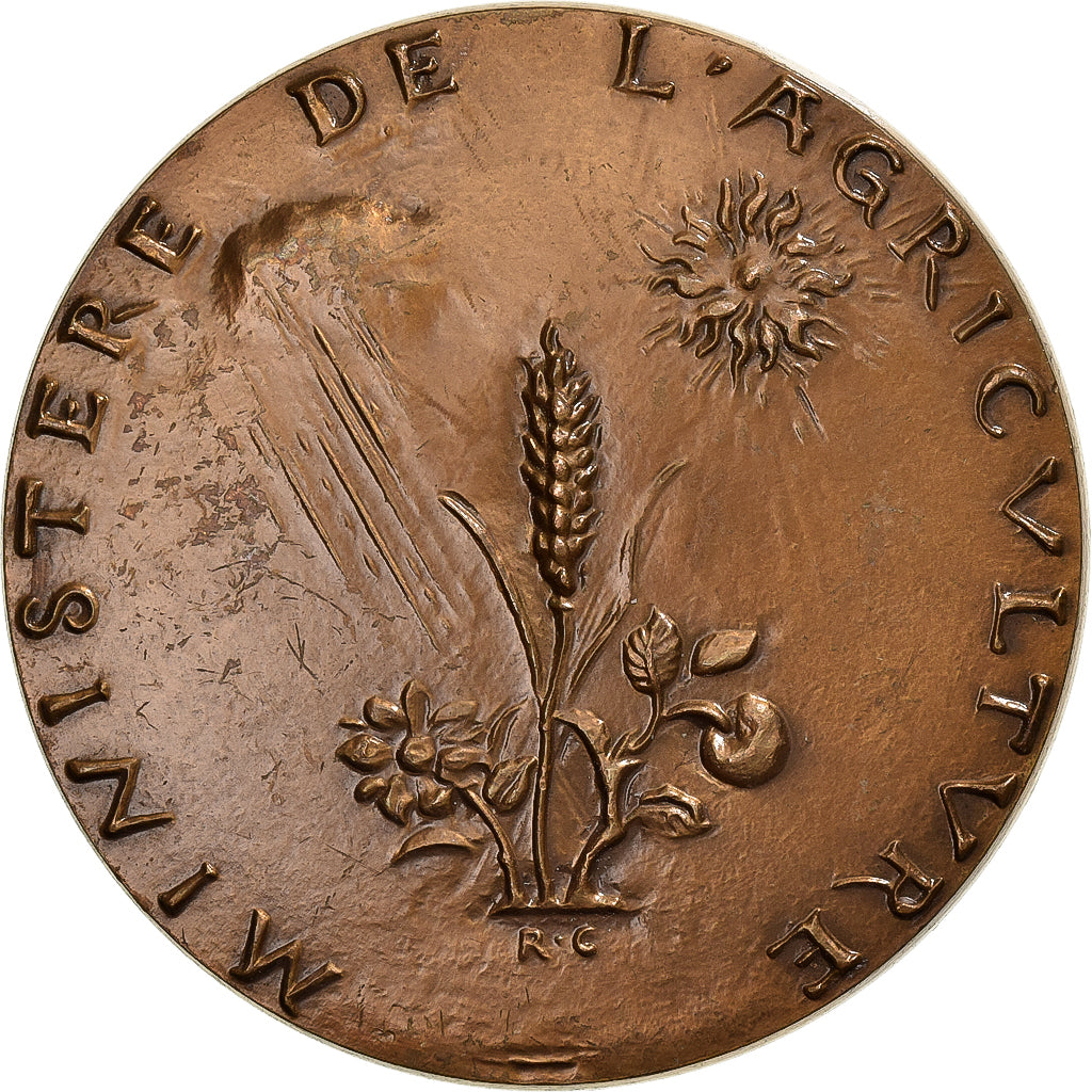 França, medalha, Mutualité - Coopération - Crédit, 1989, Bronze, Corbin