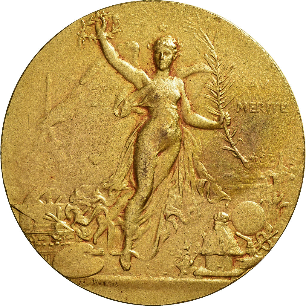 France, Medal, Médaille au Mérite, 1975, Gilt Bronze, Dubois.H, AU(50-53)