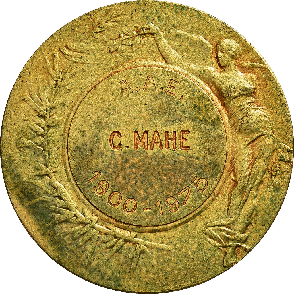 France, Medal, Médaille au Mérite, 1975, Gilt Bronze, Dubois.H, AU(50-53)