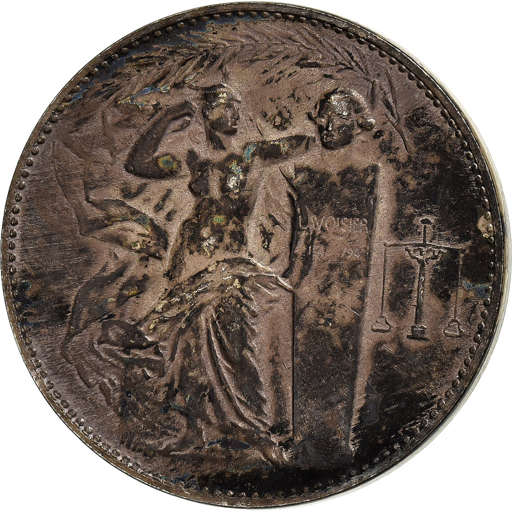 France, Médaille, Union des Industries Chimiques, 1971, Bronze argenté, TTB+