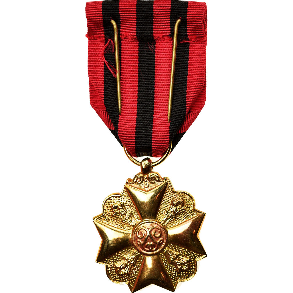 Belgium, Mérite Civique, Medal, Uncirculated, Gilt Bronze, 35