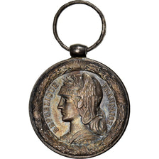 Francja, Campagne du Tonkin-Chine-Annam, medal, 1883-1885, Doskonała jakość
