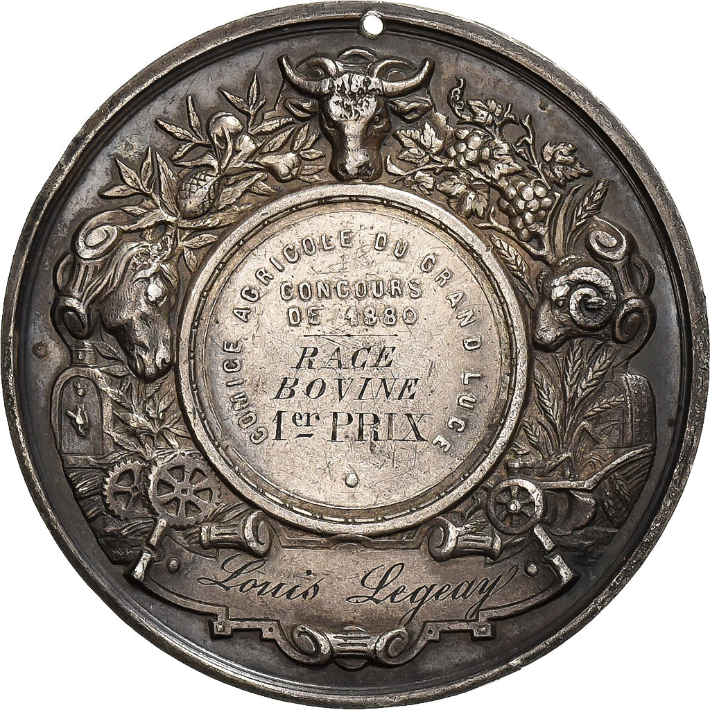 França, medalha, Olivier de Serres, Comice Agricole du Grand Luce, 1880, Prata