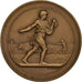 France, Medal, Comptoir Français du Sulfate d'Amoniac, Bronze, Lagrange
