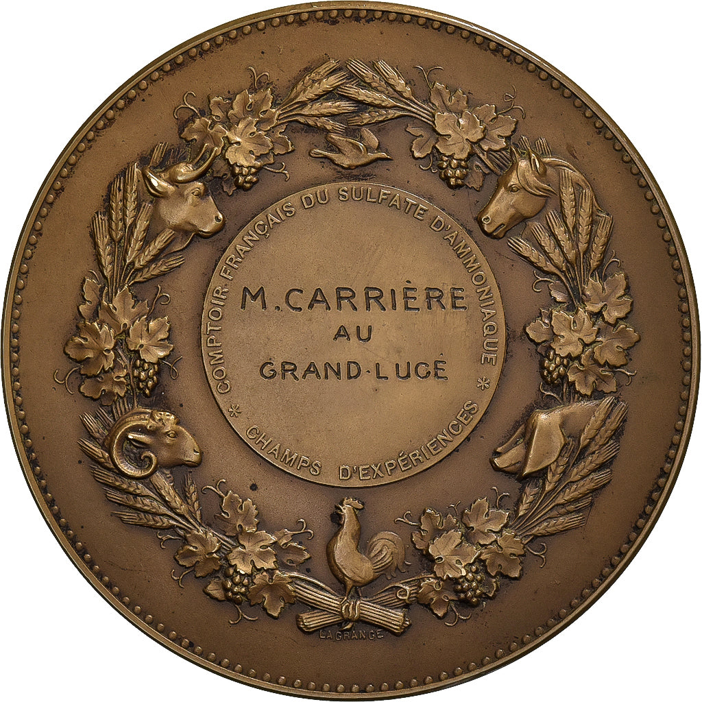 France, Medal, Comptoir Français du Sulfate d'Amoniac, Bronze, Lagrange
