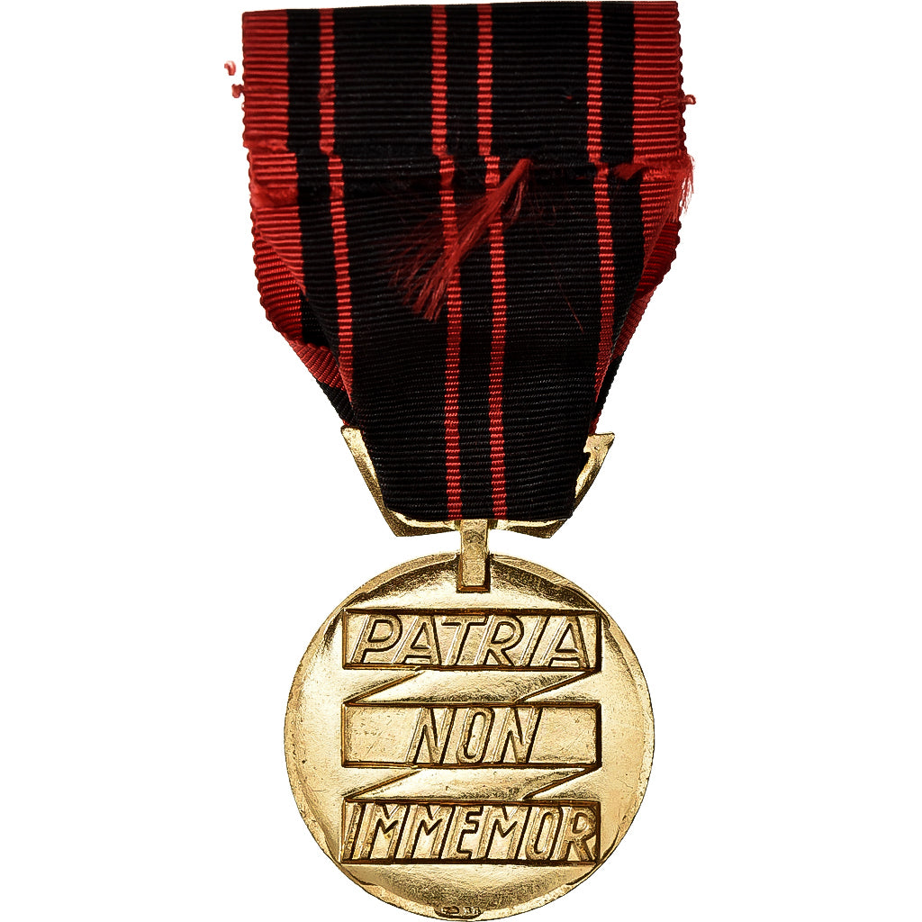 France, Résistance, Patria Non Immemor, WAR, Medal, 1940, Excellent Quality