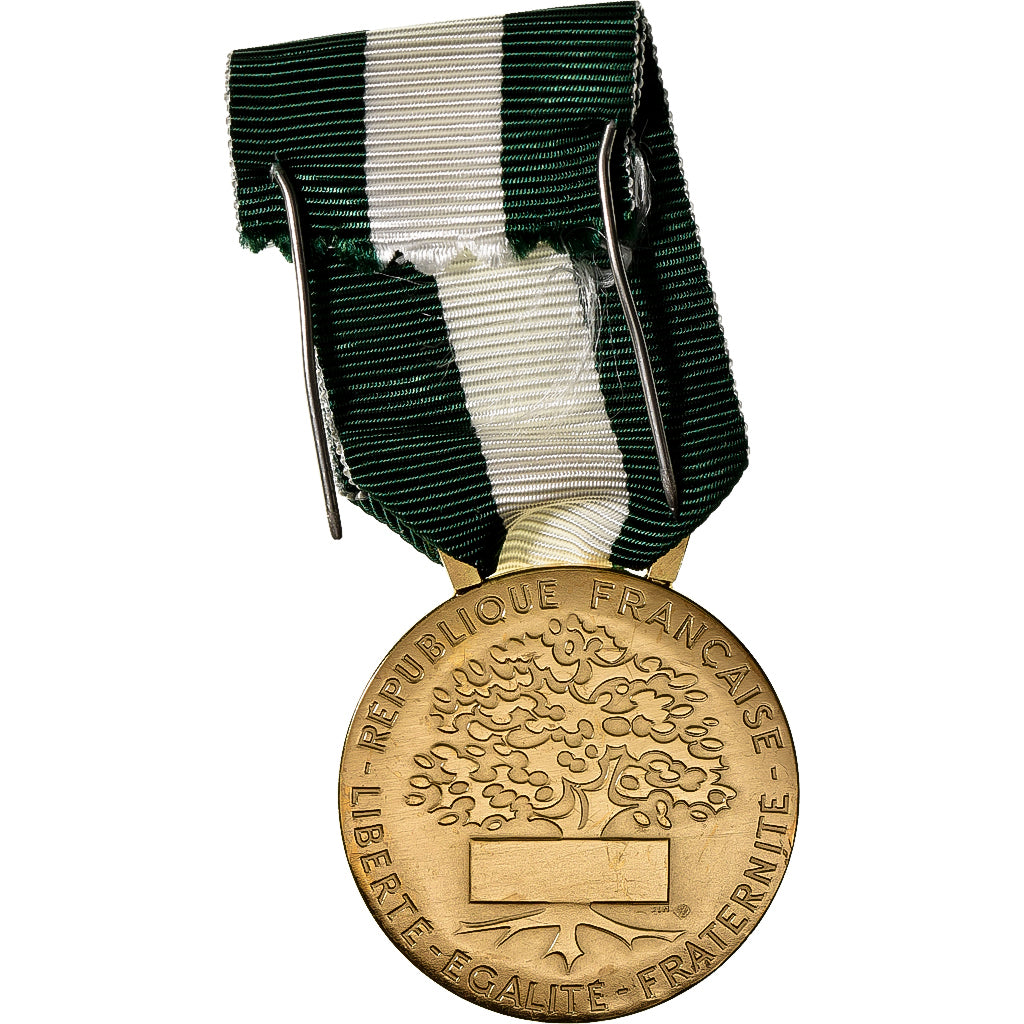 France, Médaille d'honneur communale, régionale et départementale, Medal