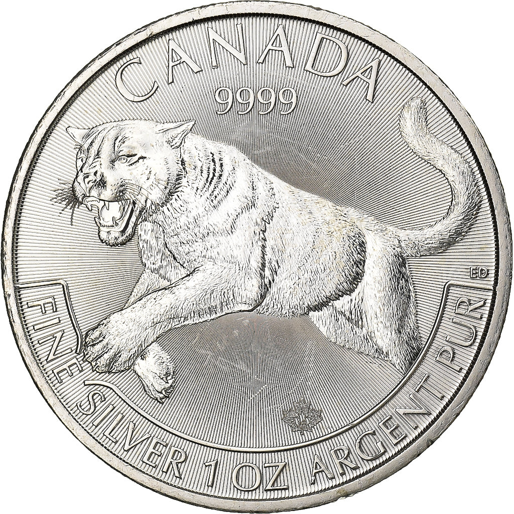 Canada, 5 Dollars, Cougar, 2016, 1 Oz, Zilver, UNC