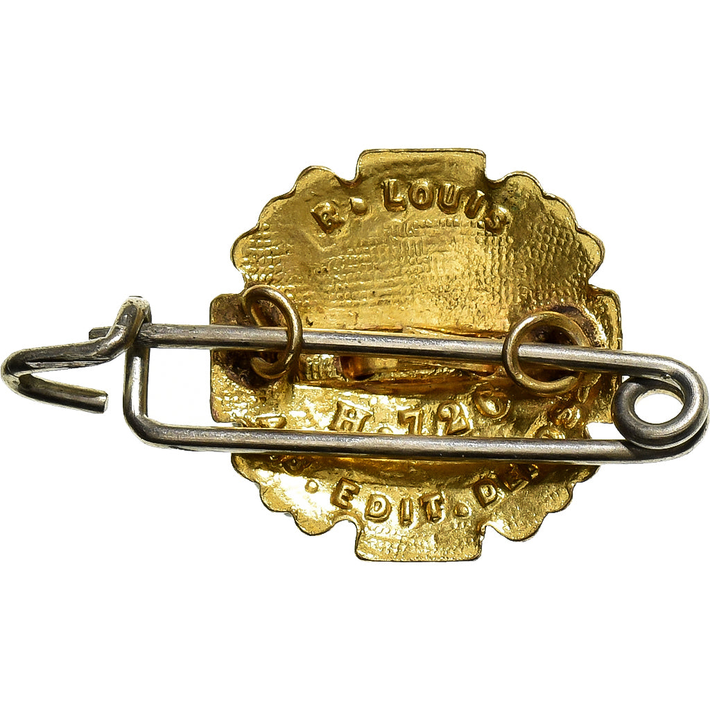 France, Broche, Croix Rouge, S.O.S Sang, Gilt Bronze, SUP