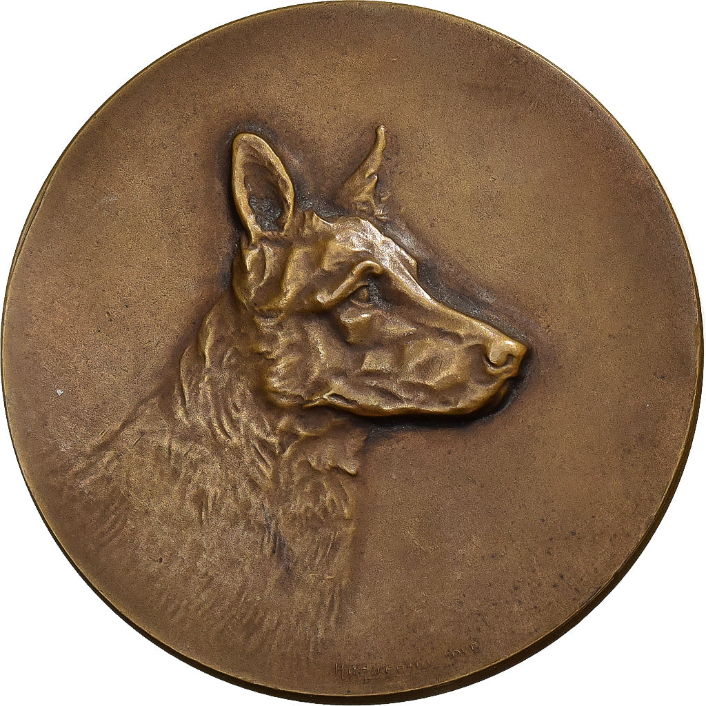 Francia, medaglia, Club du Chien de Défense, Armentières, Bronzo, Huguenin, BB
