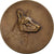 Francia, medaglia, Club du Chien de Défense, Armentières, Bronzo, Huguenin, BB