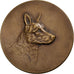 Francia, medaglia, Club du Chien de Défense, Armentières, Bronzo, Huguenin, BB