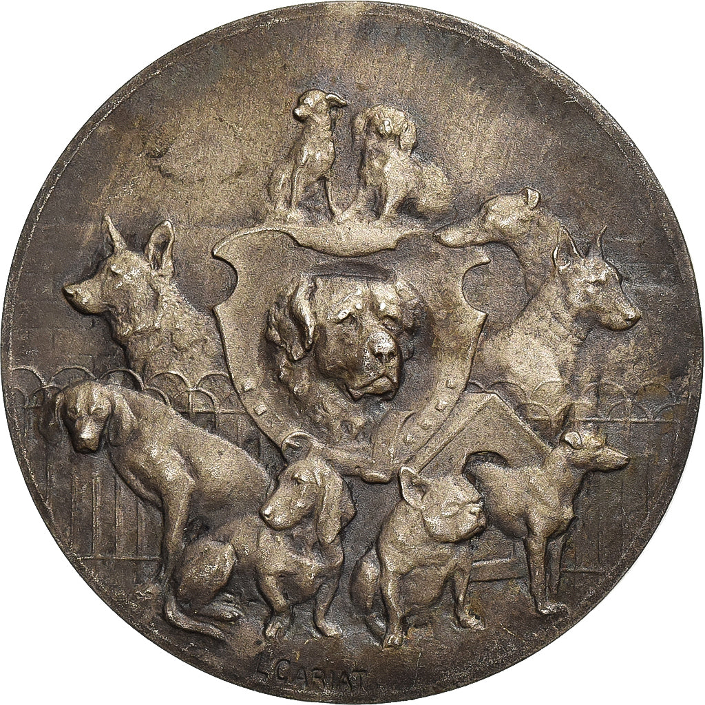 France, Medal, Chiens, Société Canine, Silvered bronze, Cariat, EF(40-45)