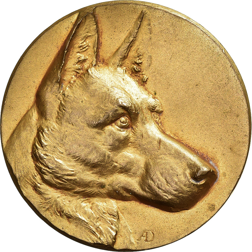 Francja, medal, Chiens, Société Canine, Pokryty brązem, Dubois.A, EF(40-45)