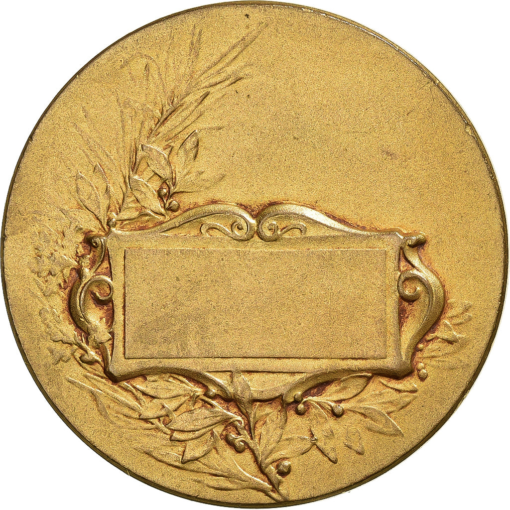 Francja, medal, Chiens, Société Canine, Pokryty brązem, Dubois.A, EF(40-45)