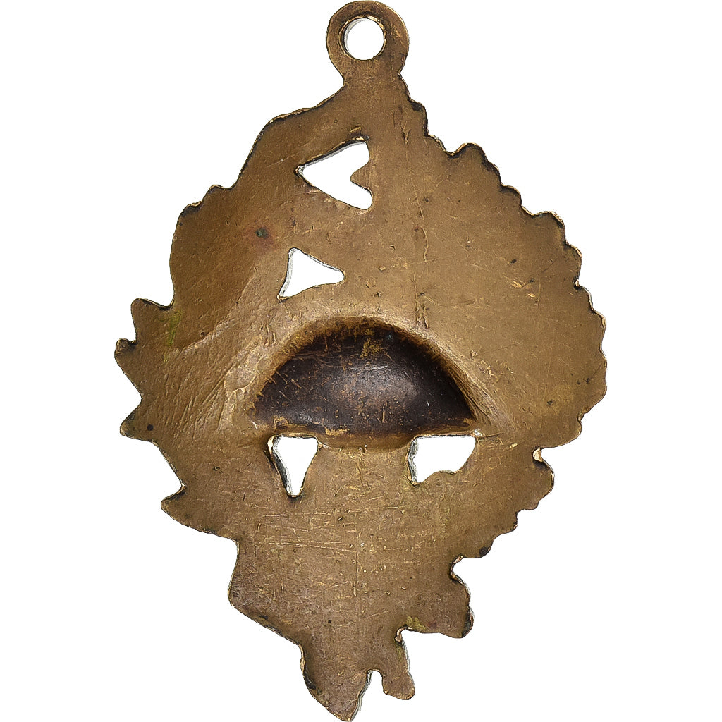 Francia, Union Nationale des Combattants, medaglia, Ottima qualità, Bronzo, 33