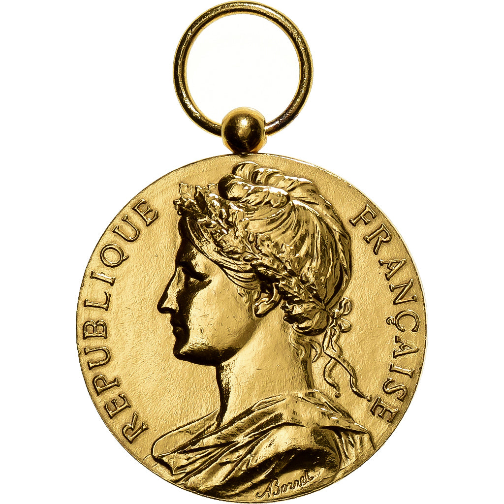 Francia, Médaille d'honneur du travail, medaglia, 2007, Eccellente qualità