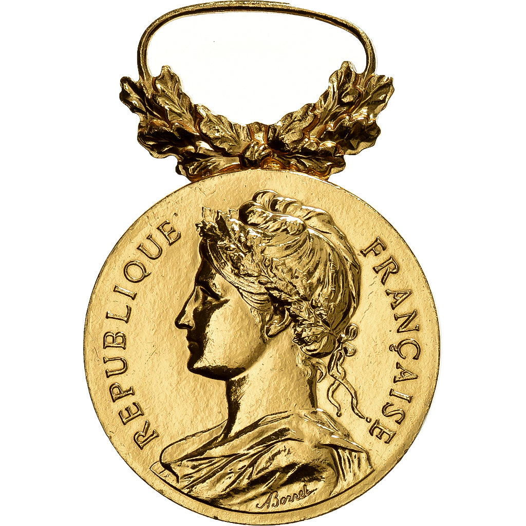 Francia, Médaille d'honneur du travail, medaglia, 2013, Eccellente qualità