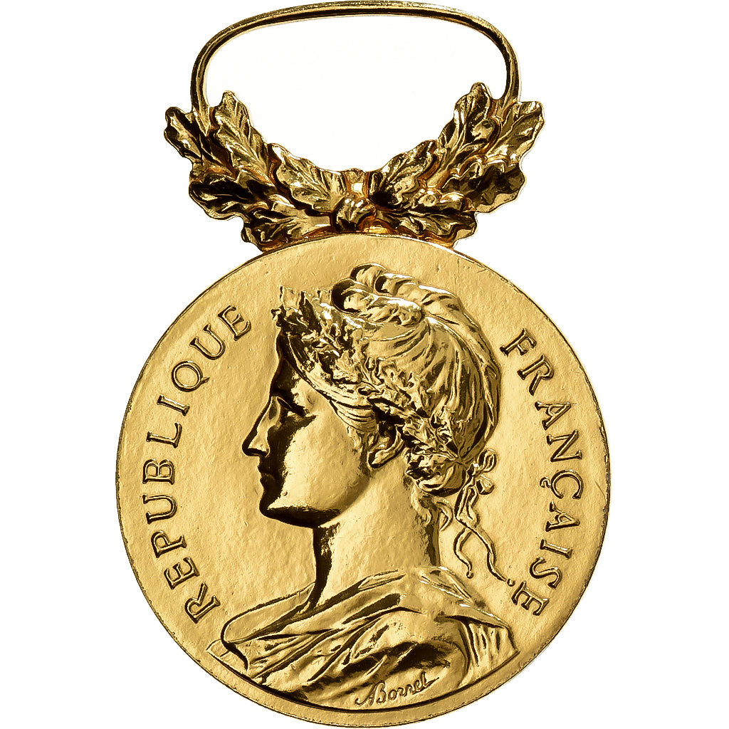 Francia, Médaille d'honneur du travail, medaglia, 2016, Eccellente qualità