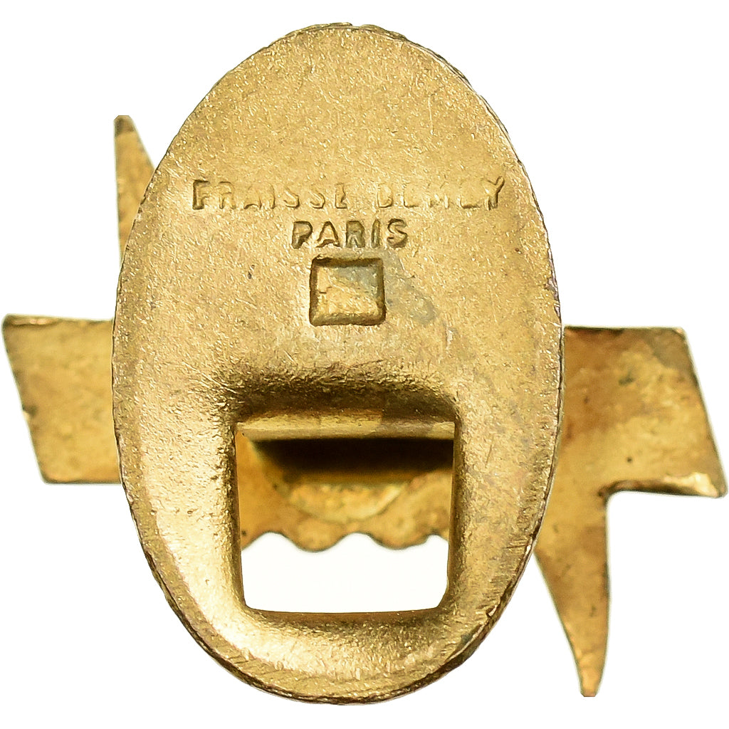 Francia, Fédération Nationale Déportés du Travail, Boutonnière, Eccellente