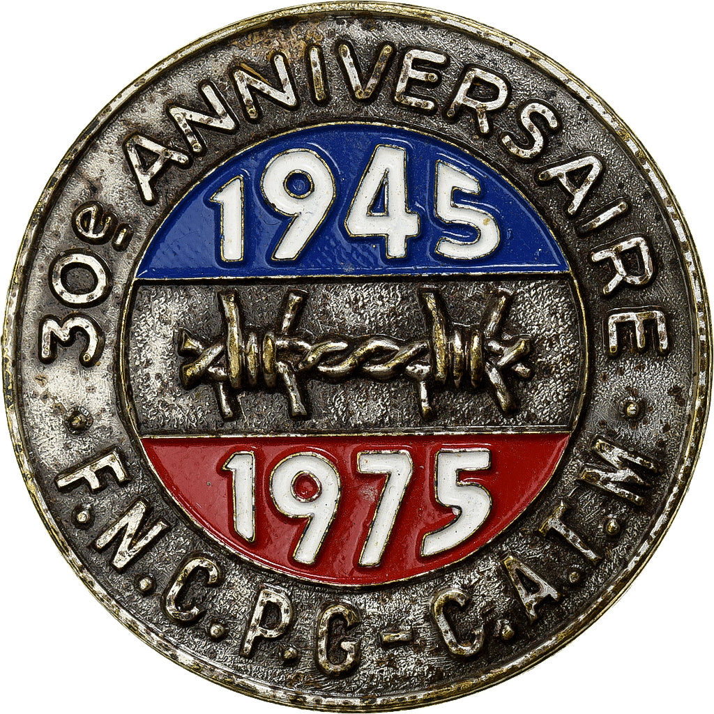 Francja, Broche, 30ème Anniversaire F.N.C.P.G, 1975, Métal, War, EF(40-45)