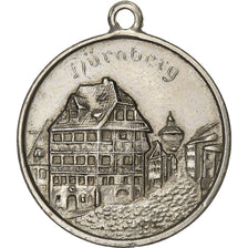 Germany, Medal, Ville de Nuremberg, 2004, Silvered Metal, EF(40-45)