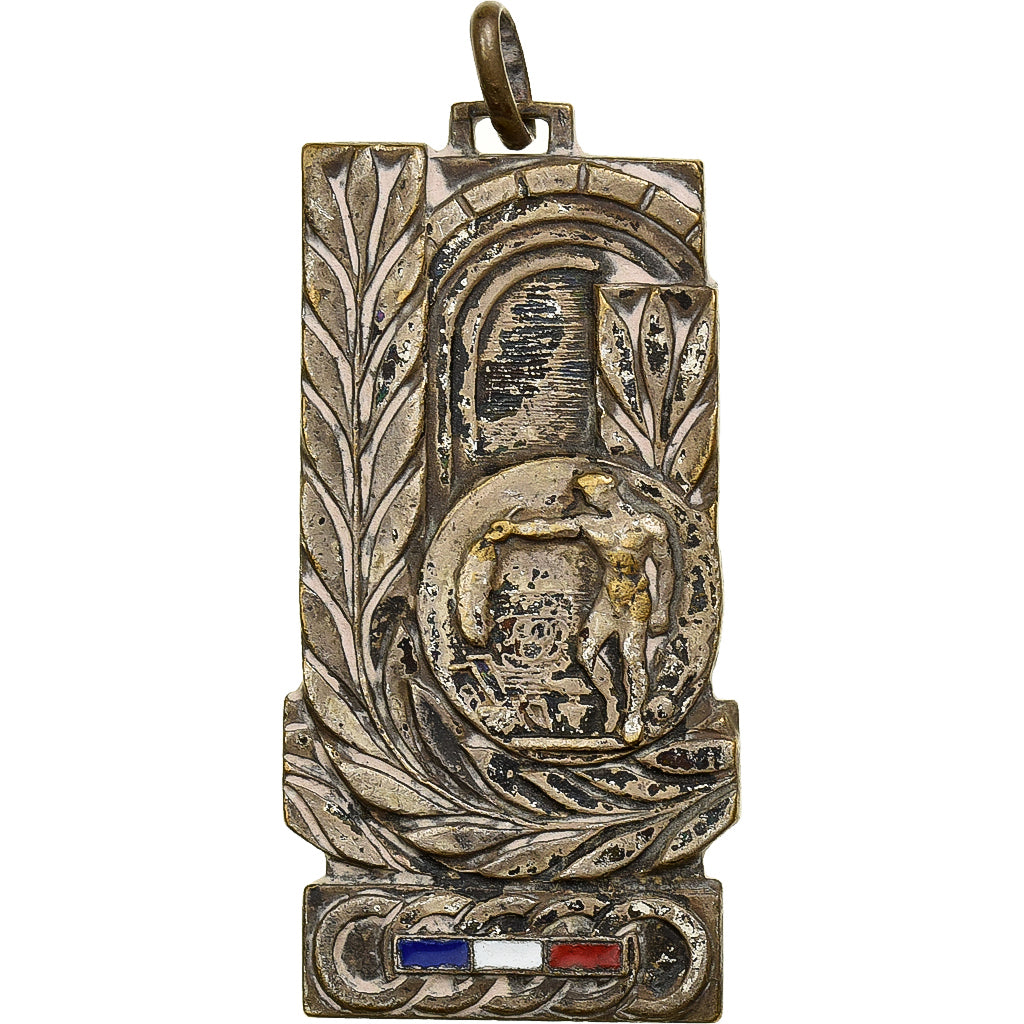 Frankrijk, Medaille, Jeunesse et Sport, Offert par le Ministre, Silvered bronze