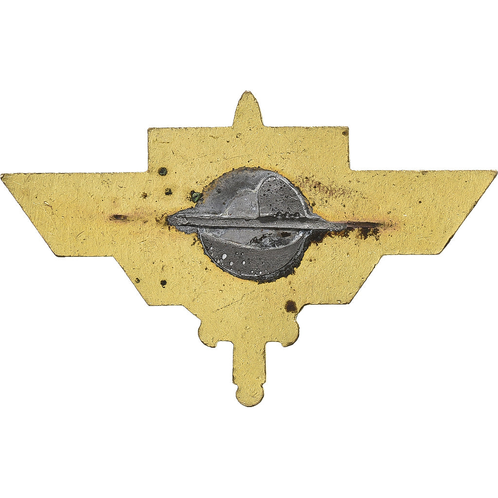 Francia, France Libre, WAR, Broche, Ottima qualità, Métal, 47 X 30