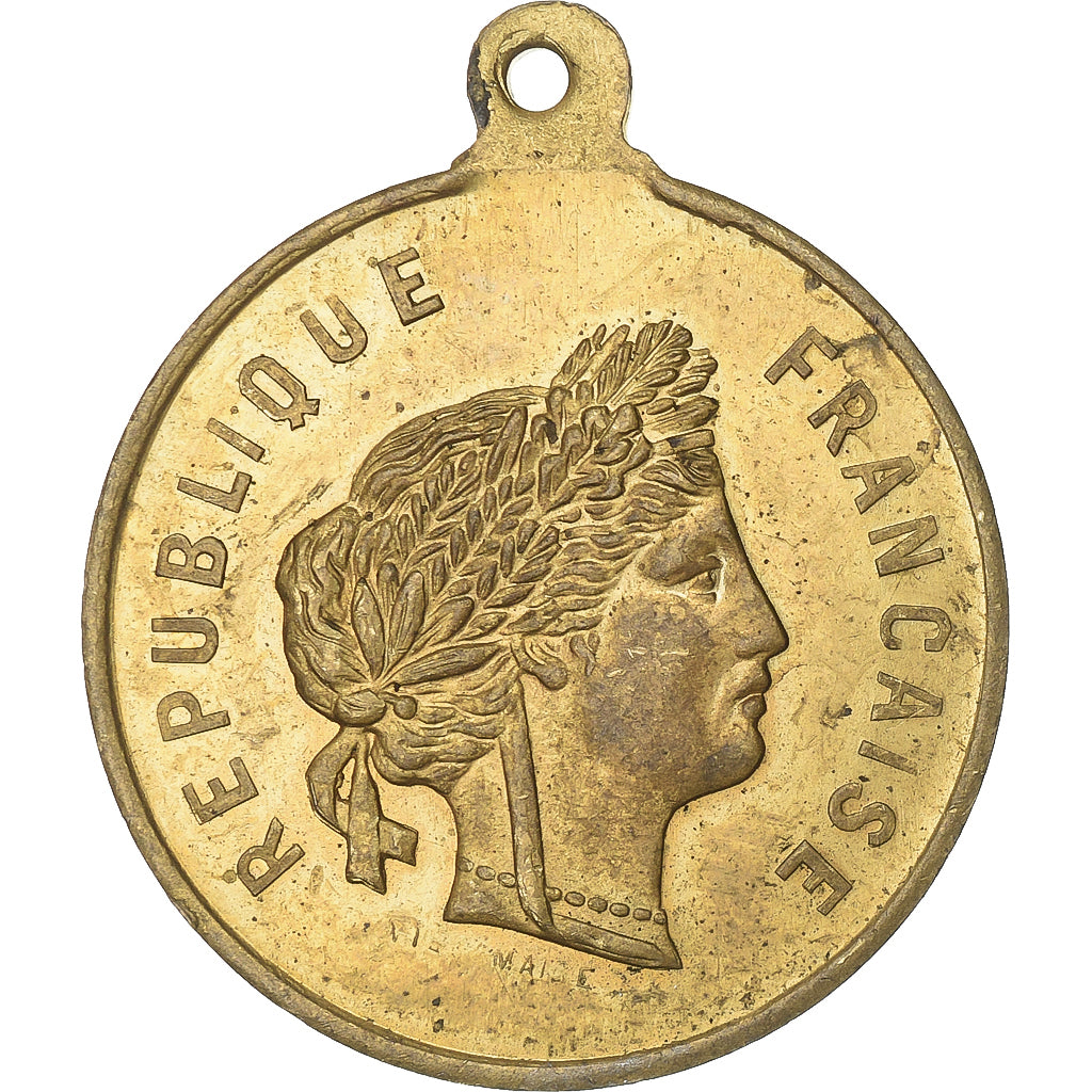 França, medalha, Souvenir du Concours de Pêche, 1893, Latão, AU(50-53)