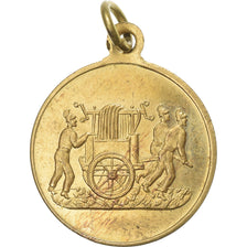 France, Médaille, Concours de Pompes à Incendie, Saint-Mandé, 1876, Laiton