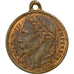 France, Medal, Napoléon III, Rétablissement de l'Empire par le Suffrage