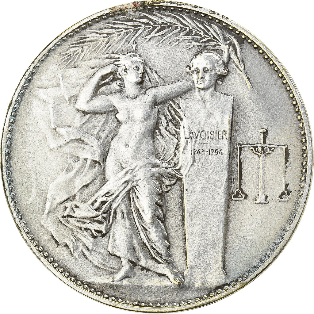 Francia, medalla, Union des Industries Chimiques, 1963, Bronce plateado, MBC+