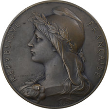 France, Médaille, Université de Grenoble, Concours Littérature, 1904, Bronze